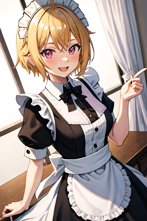 maid-1120