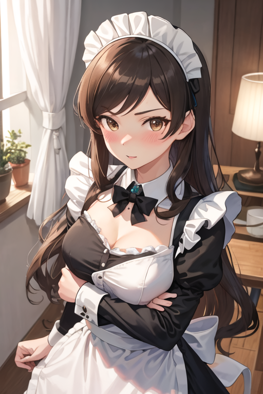 maid-520