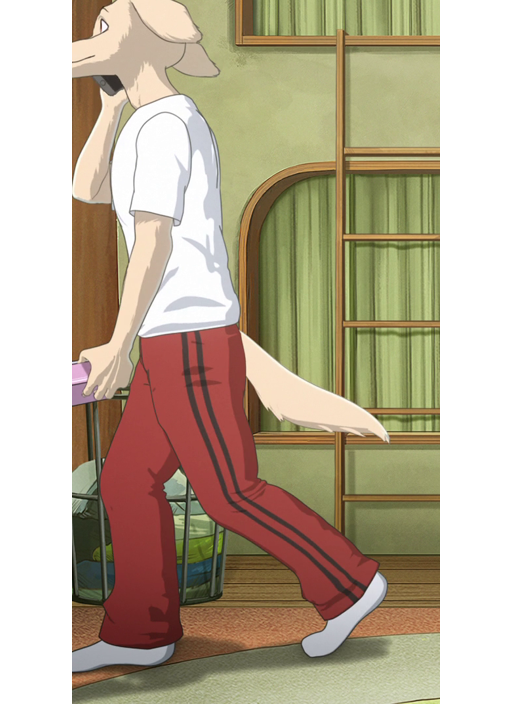 preview 5