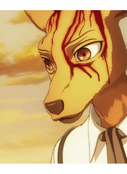 preview 7