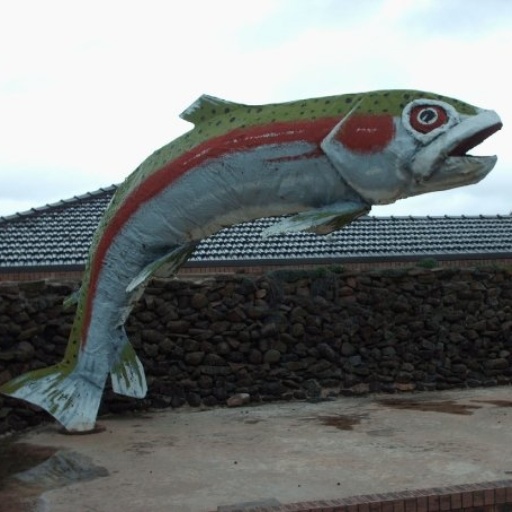 1220_OberonBigTrout.jpg