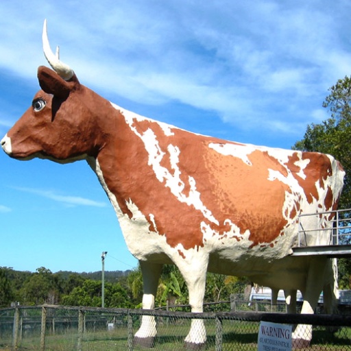 1238_BigCow_Nambour.jpg