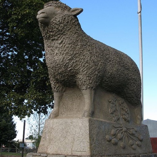 1252_605px-BigLamb_Guyra.jpg