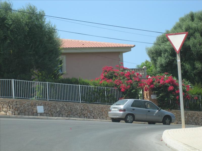 231.jpg