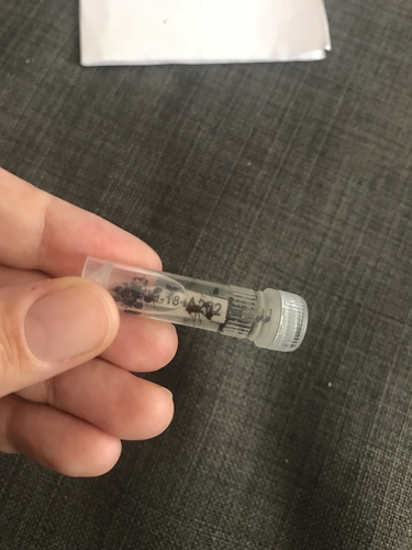0.000002_syringe _ syringe_0.9963264.jpg