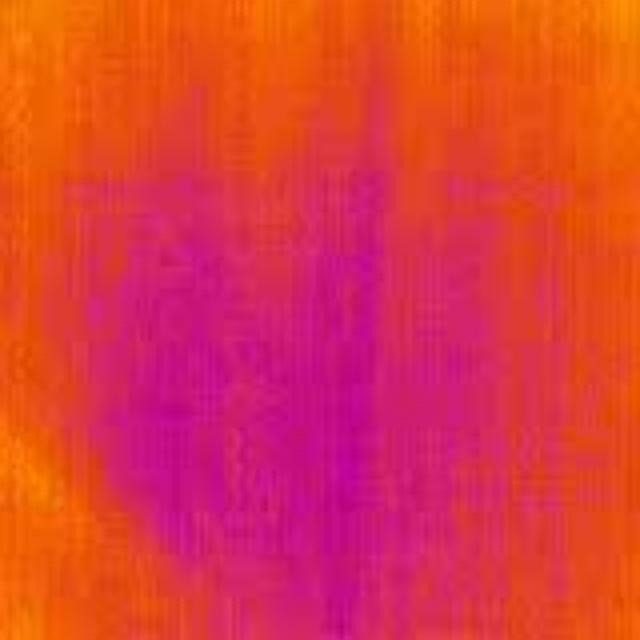 0005_jpg.rf.64c2255e371e9e936808d2fe75c9d7d5.jpg