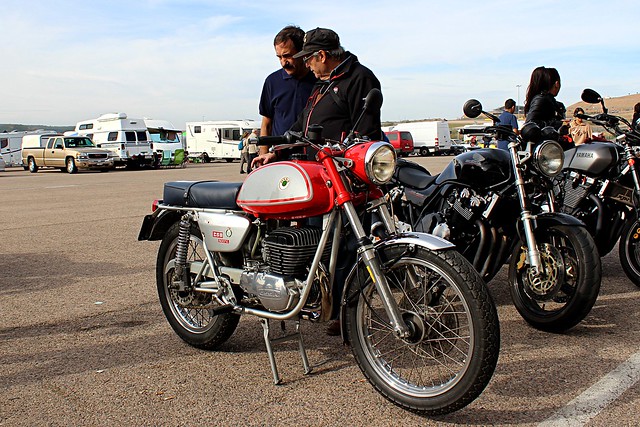 52505245917_b43f7600cc_z.jpg