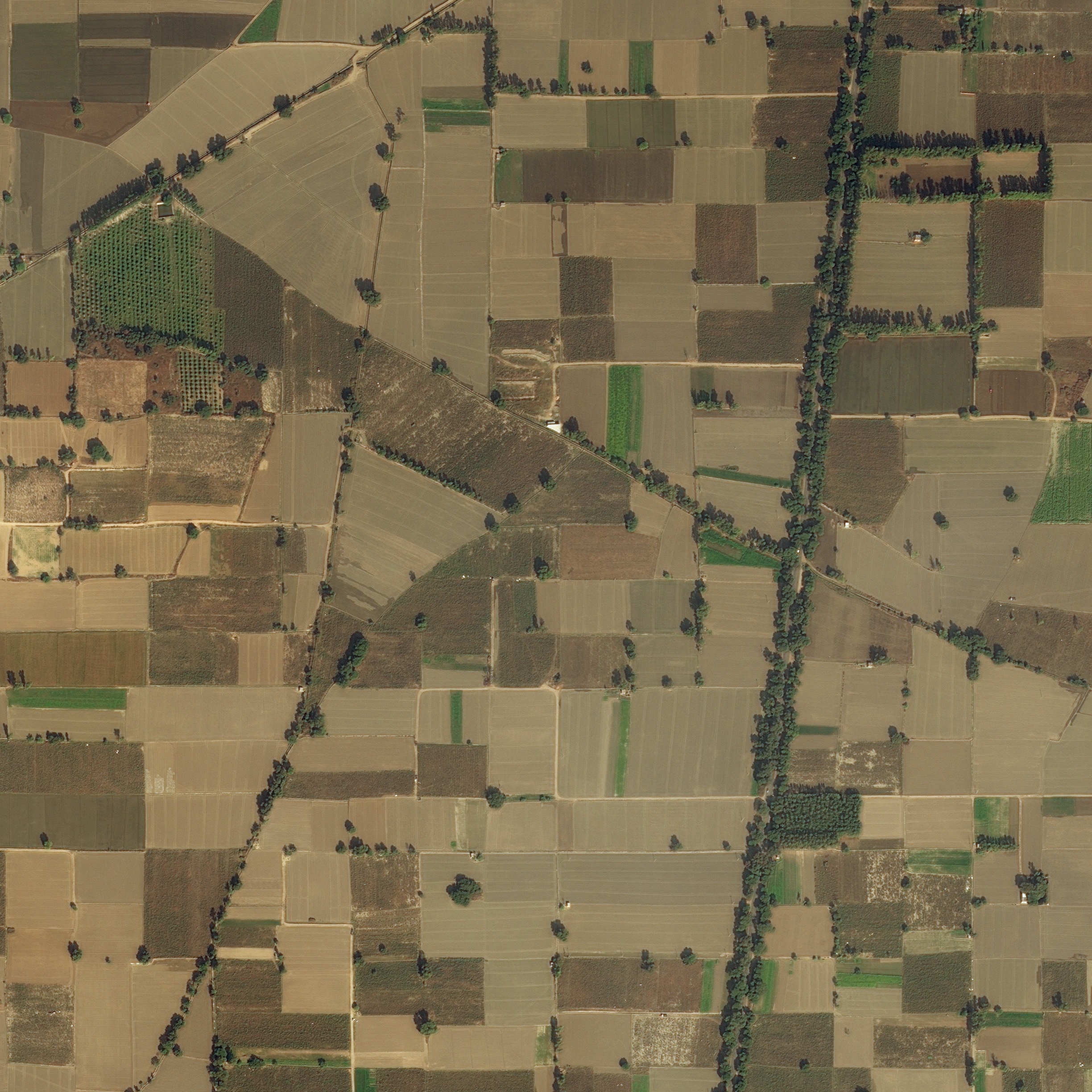100694_sat.jpg