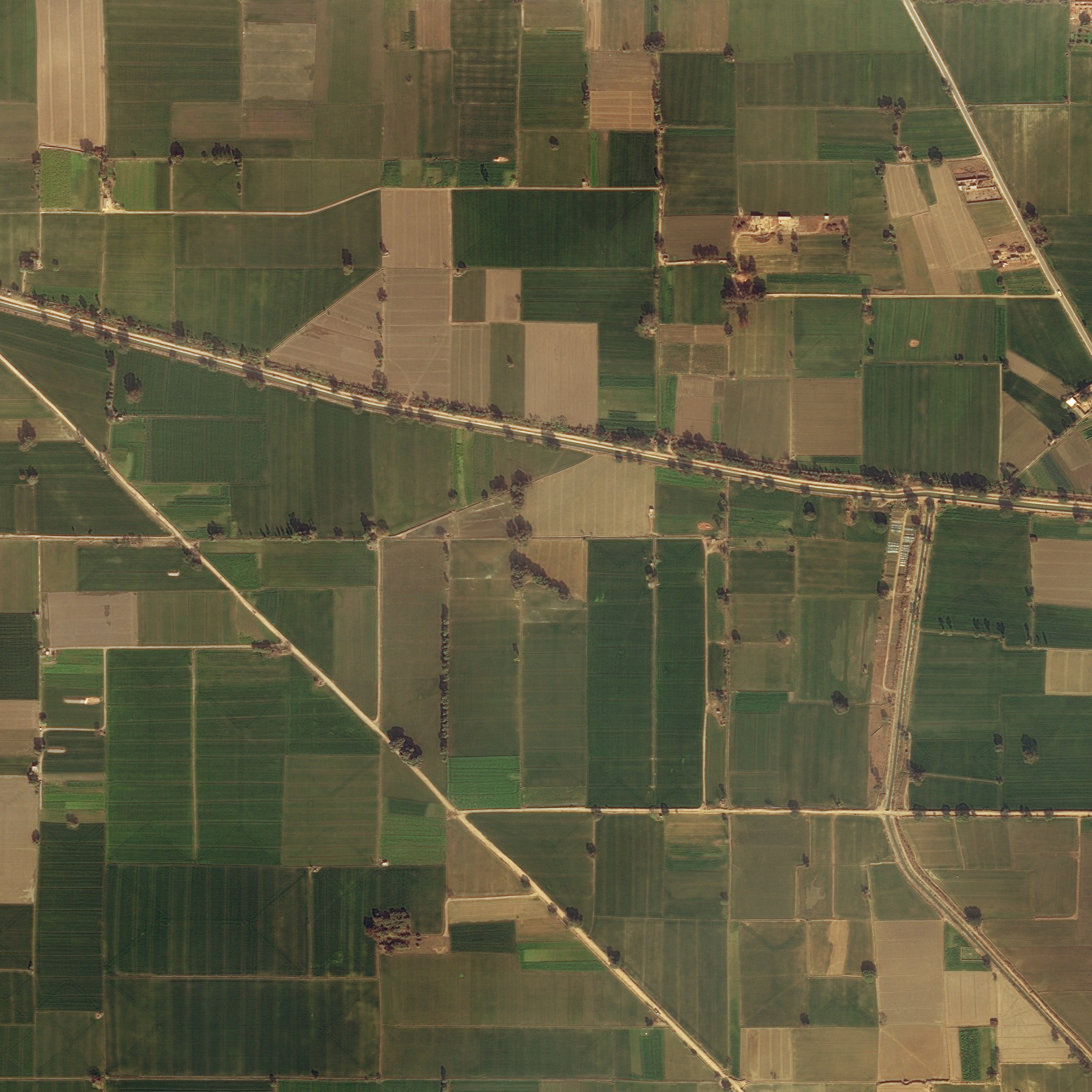 10233_sat.jpg