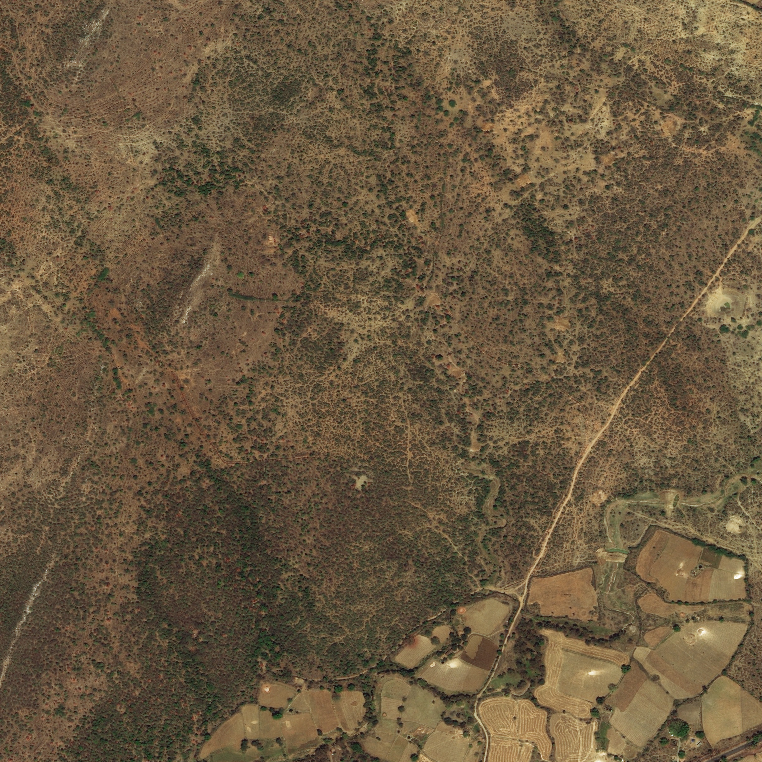 392604_sat.jpg