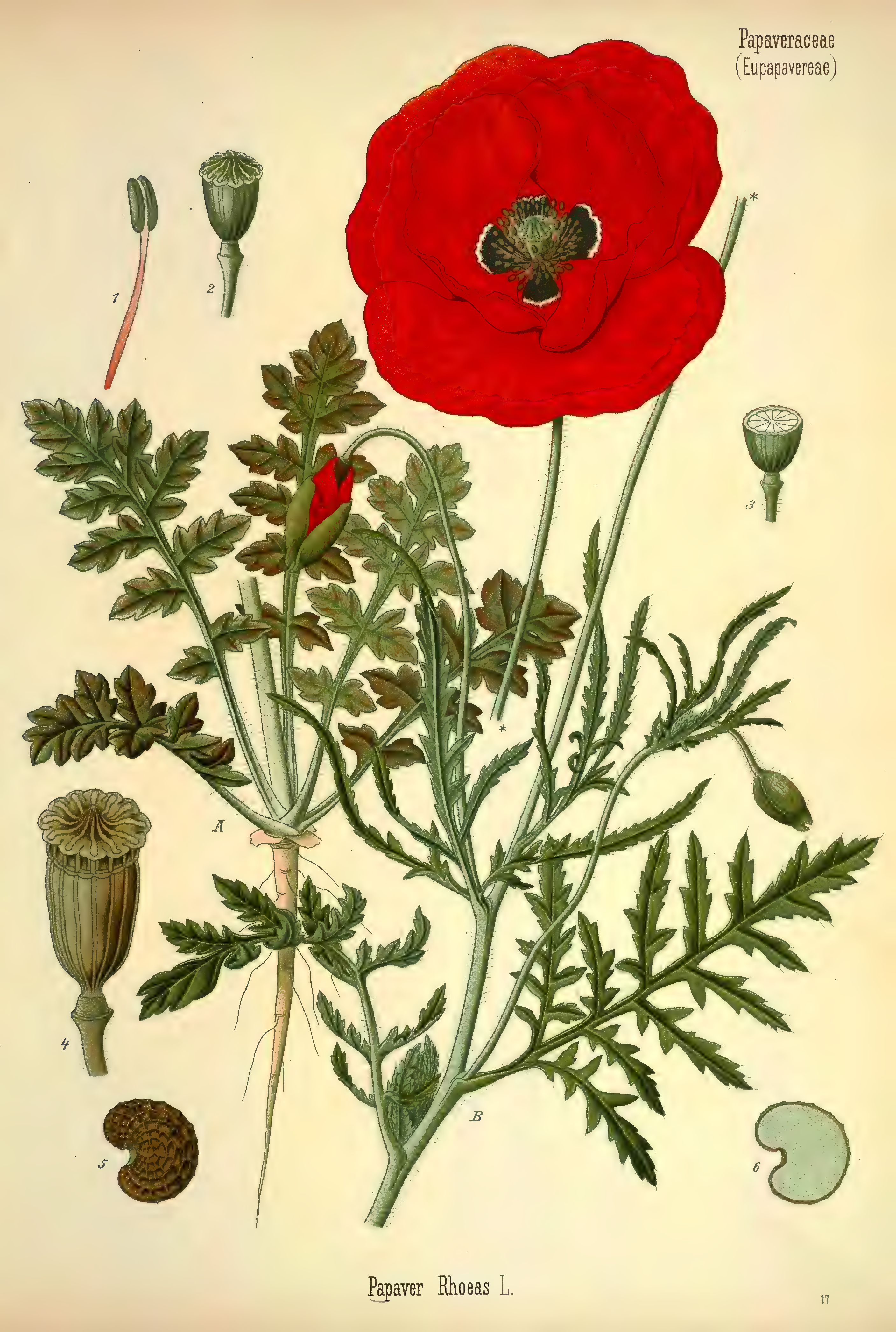 mobot31753002839105-3_page_409.png