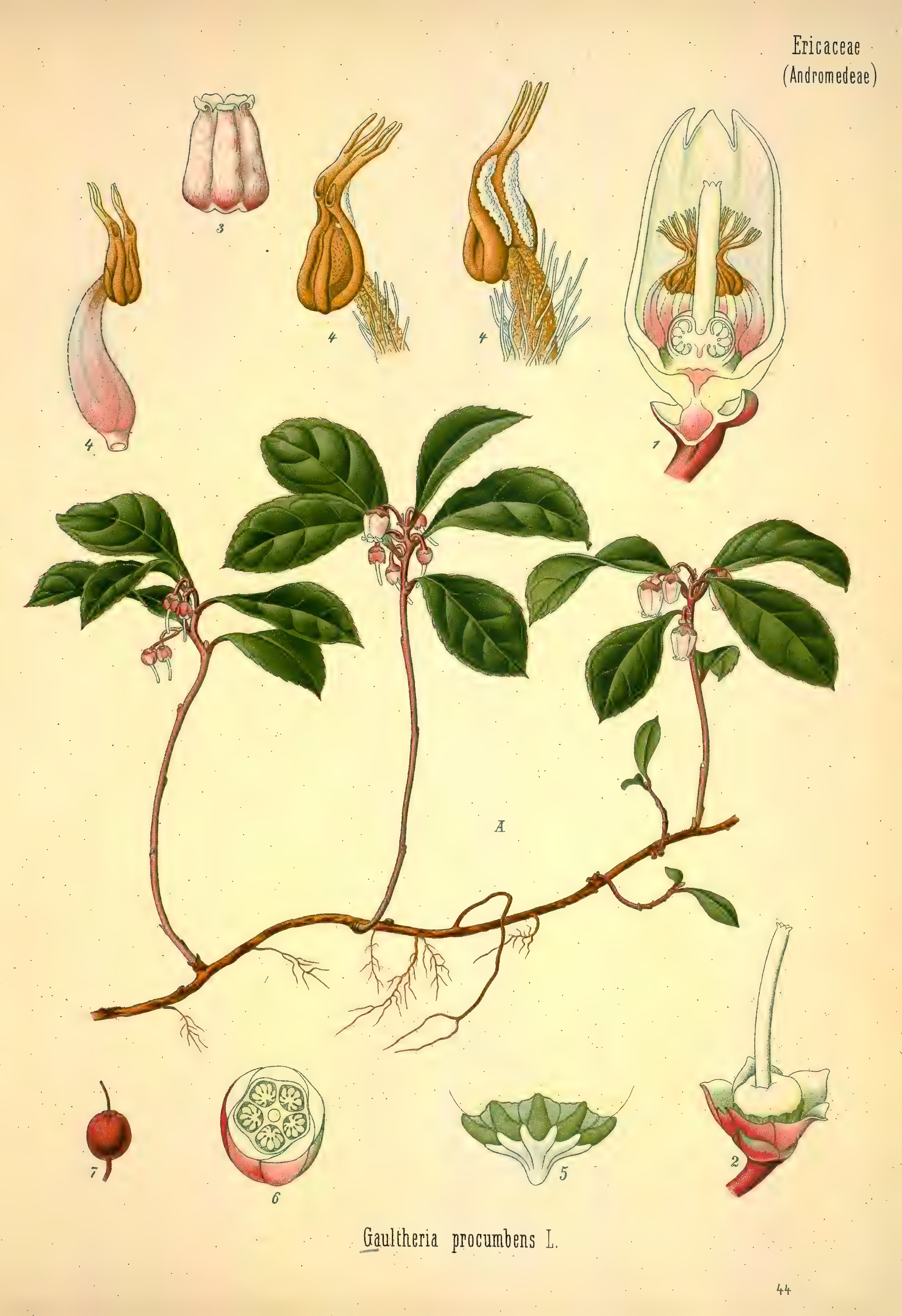mobot31753002839105-3_page_463.png