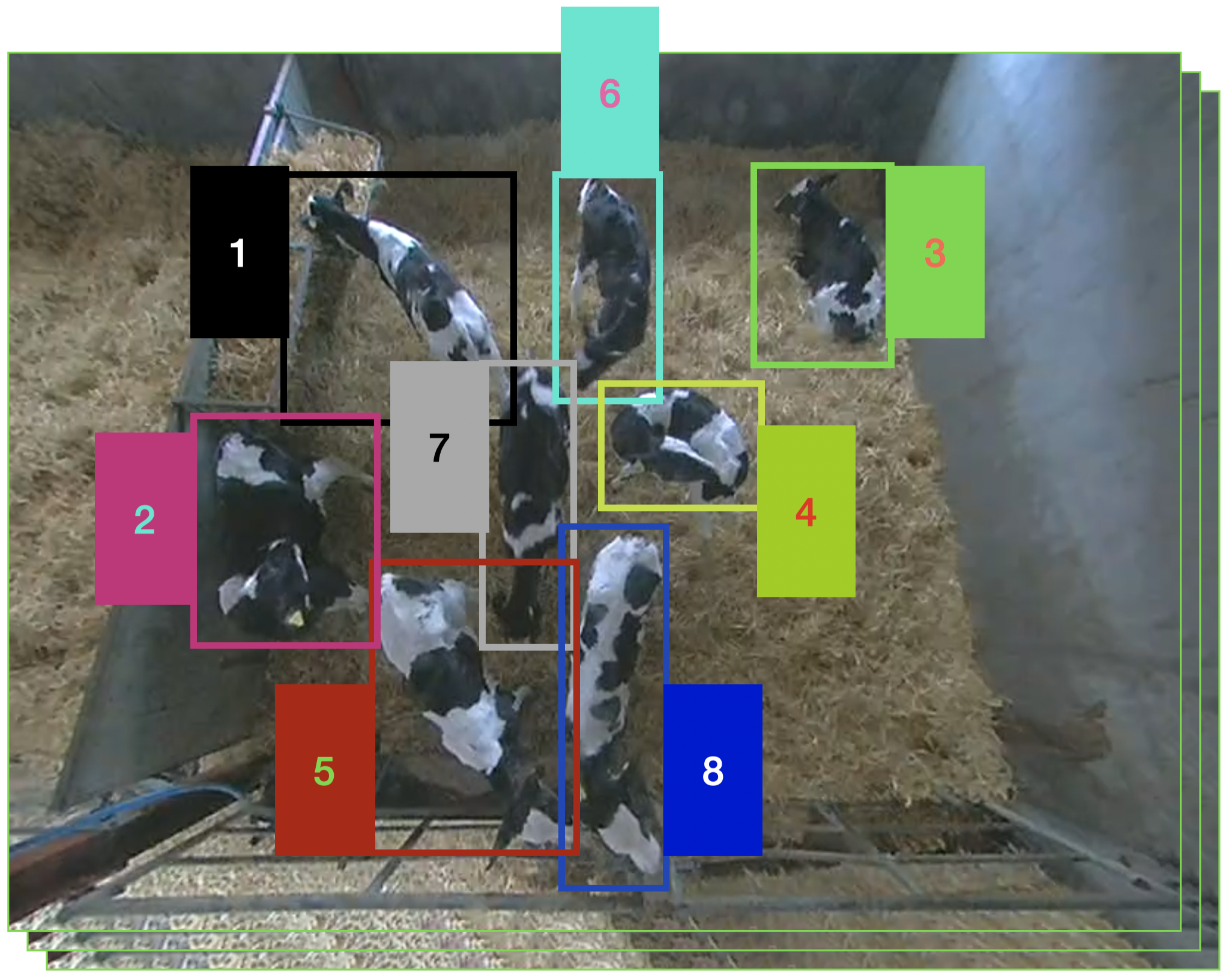 Dataset Example Frame