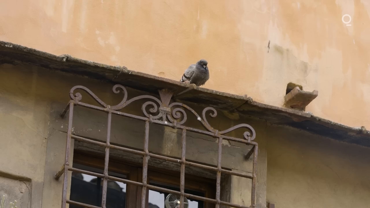 frame_10882.jpg