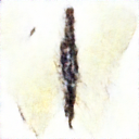 sample_50.png