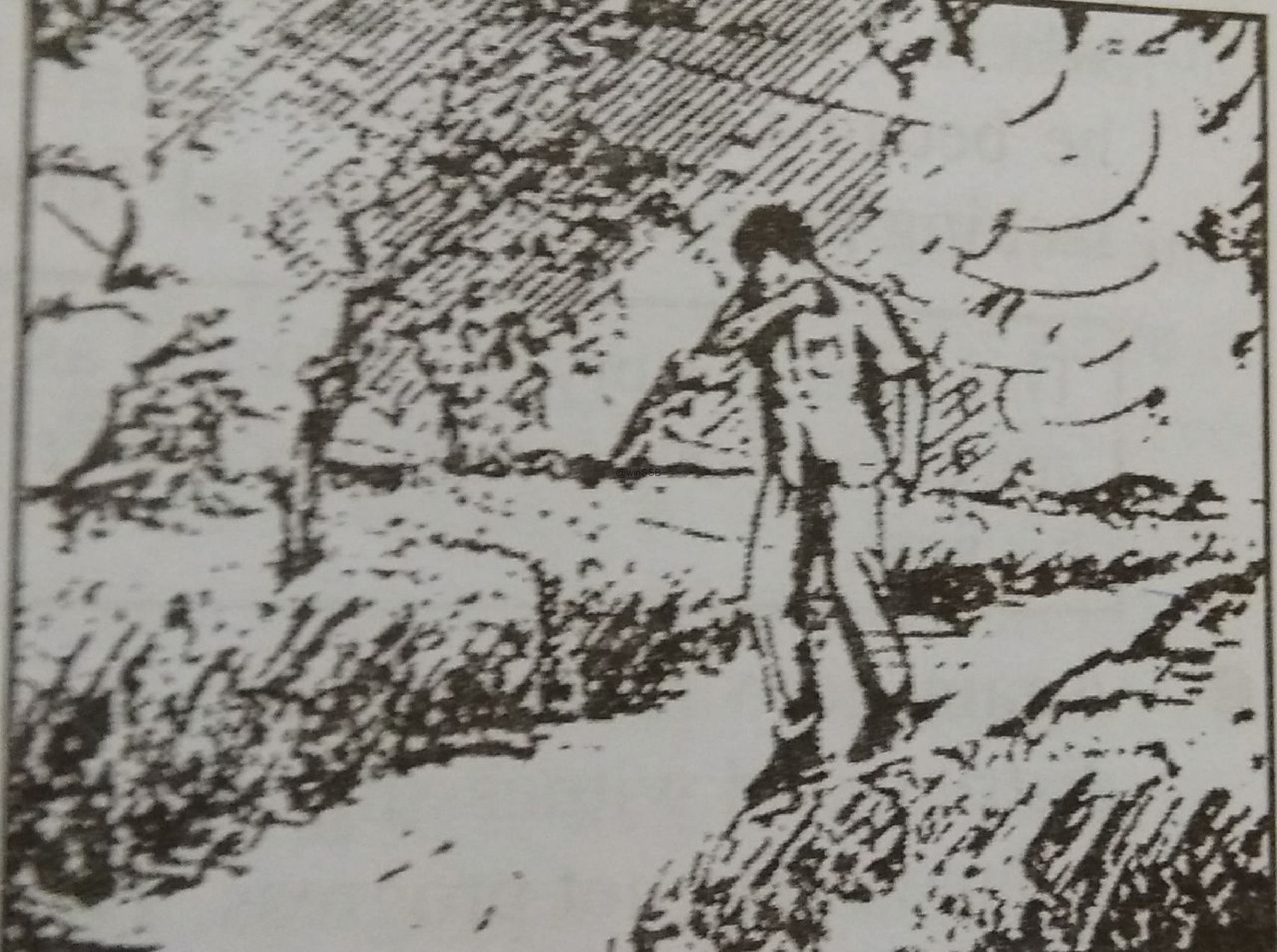 test14.jpg
