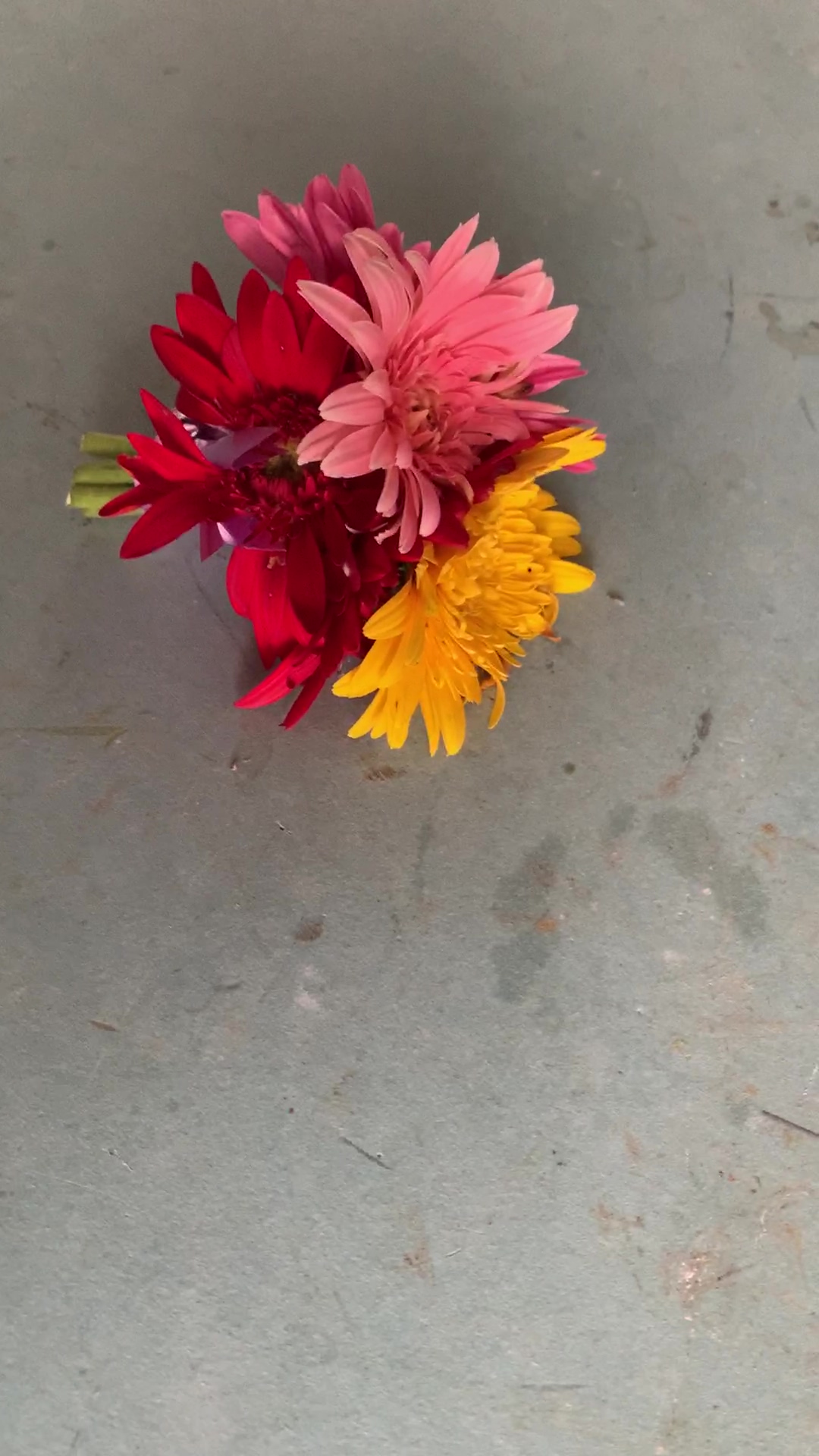 flowers_2.jpg