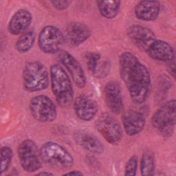 purple_cell.png